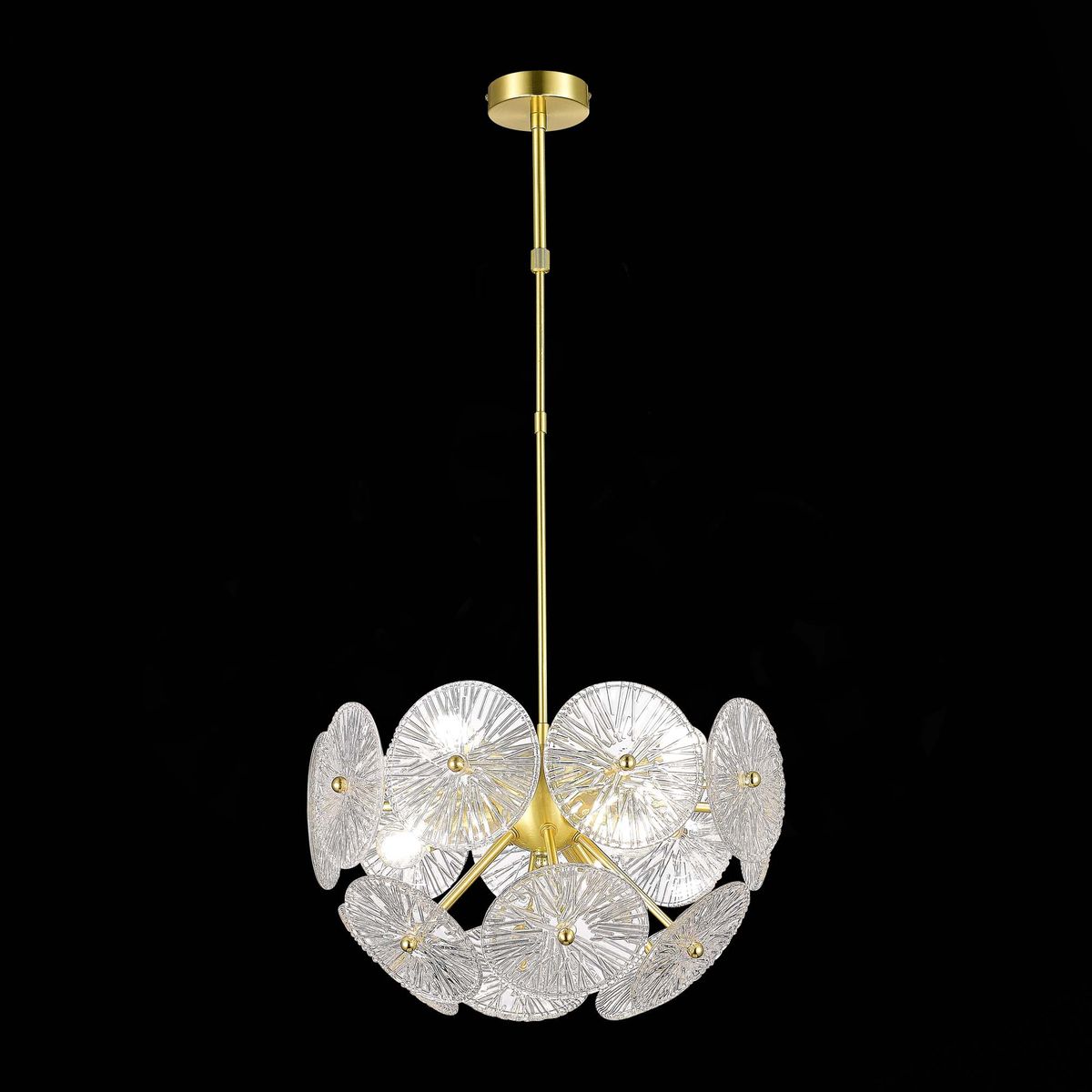 Подвесная люстра ST Luce Flero SL1657.203.06