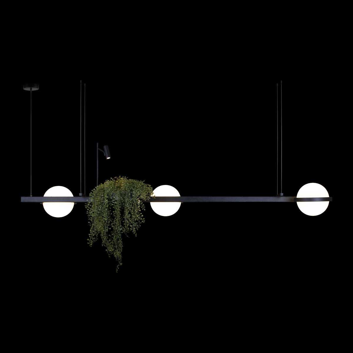 Подвесная люстра Loft IT Jardin 10121/C
