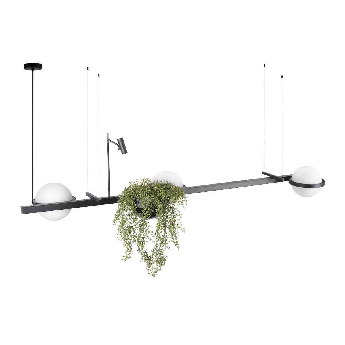 Подвесная люстра Loft IT Jardin 10121/C