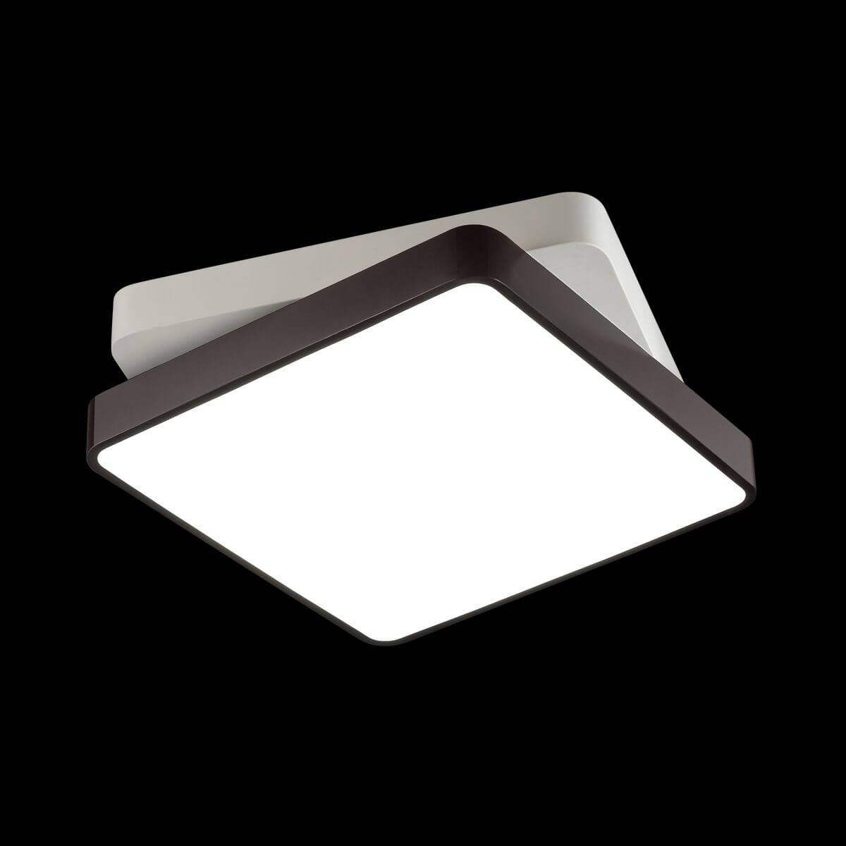 Потолочная светодиодная люстра Lumion Agatha 4511/72CL