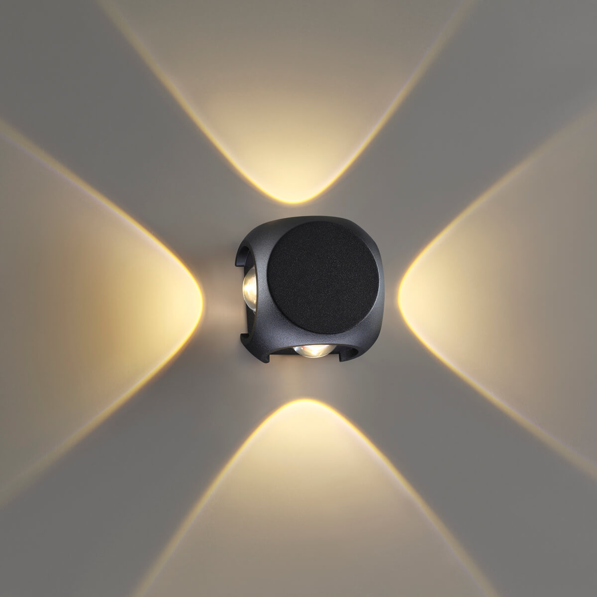 Уличный светодиодный светильник Odeon Light Miko 4222/8WL