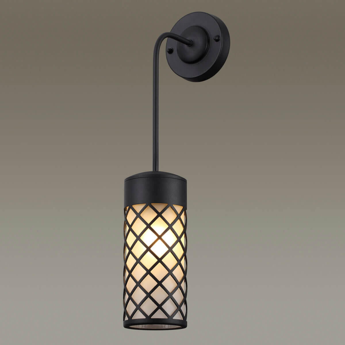 Уличный настенный светильник Odeon Light Dunes 4834/1W