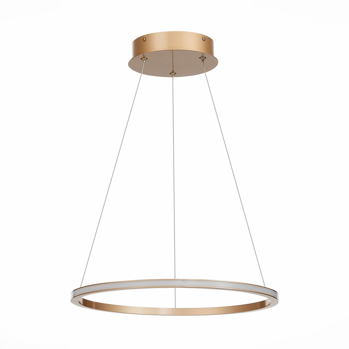 Подвесная светодиодная люстра ST Luce ST604.243.22