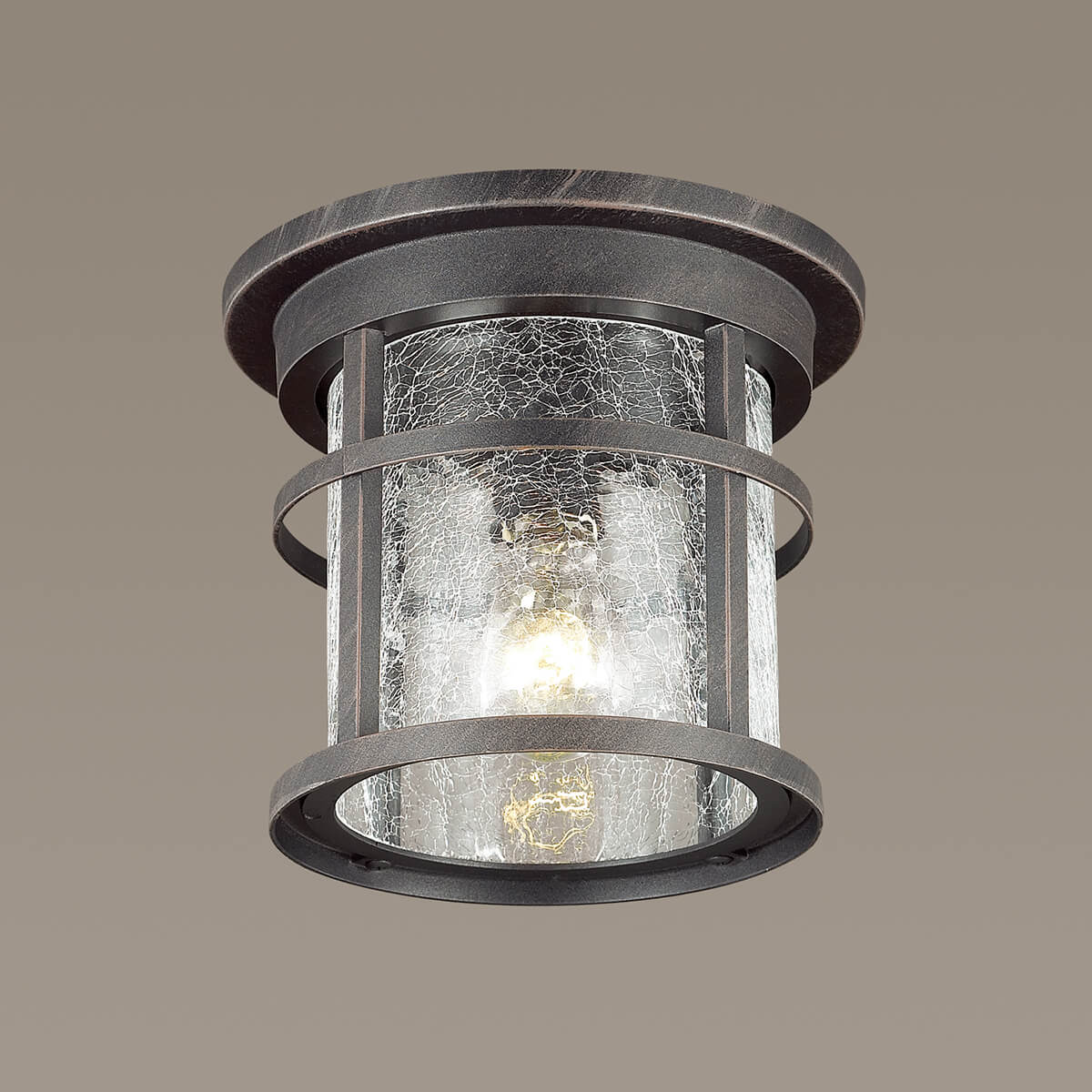 Уличный потолочный светильник Odeon Light Virta 4044/1C