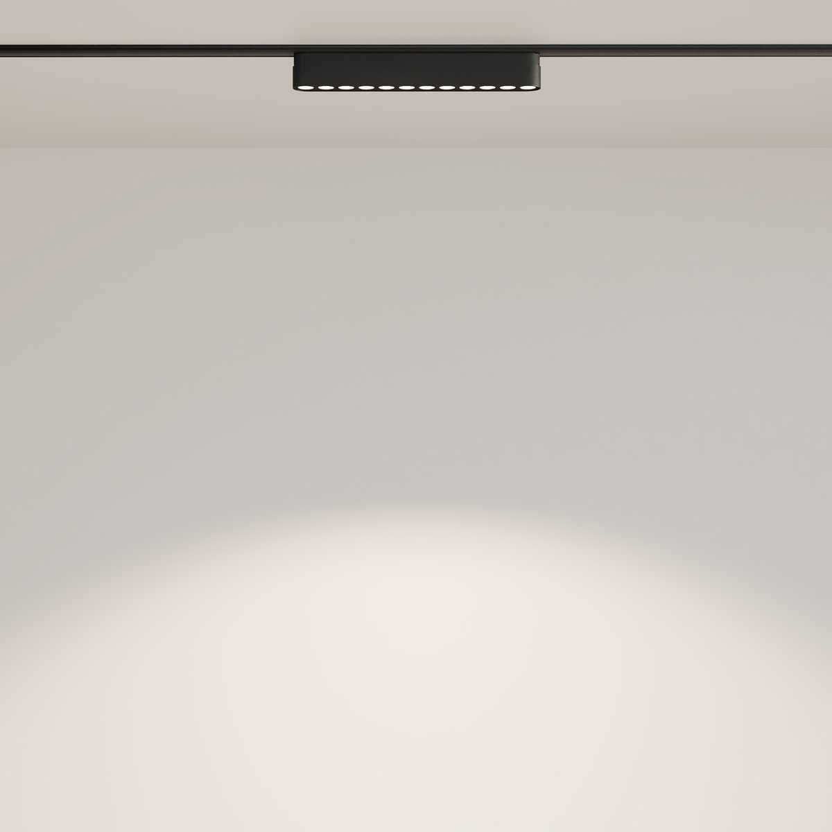 Трековый светильник Maytoni Radity Points 4000K 12Вт 36 TR082-1-12W4K-M-B
