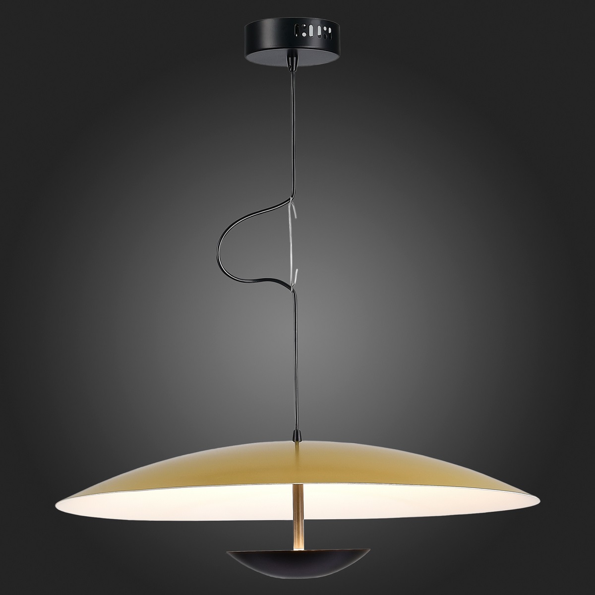 Подвесной светодиодный светильник ST Luce Armonico SL6502.213.01