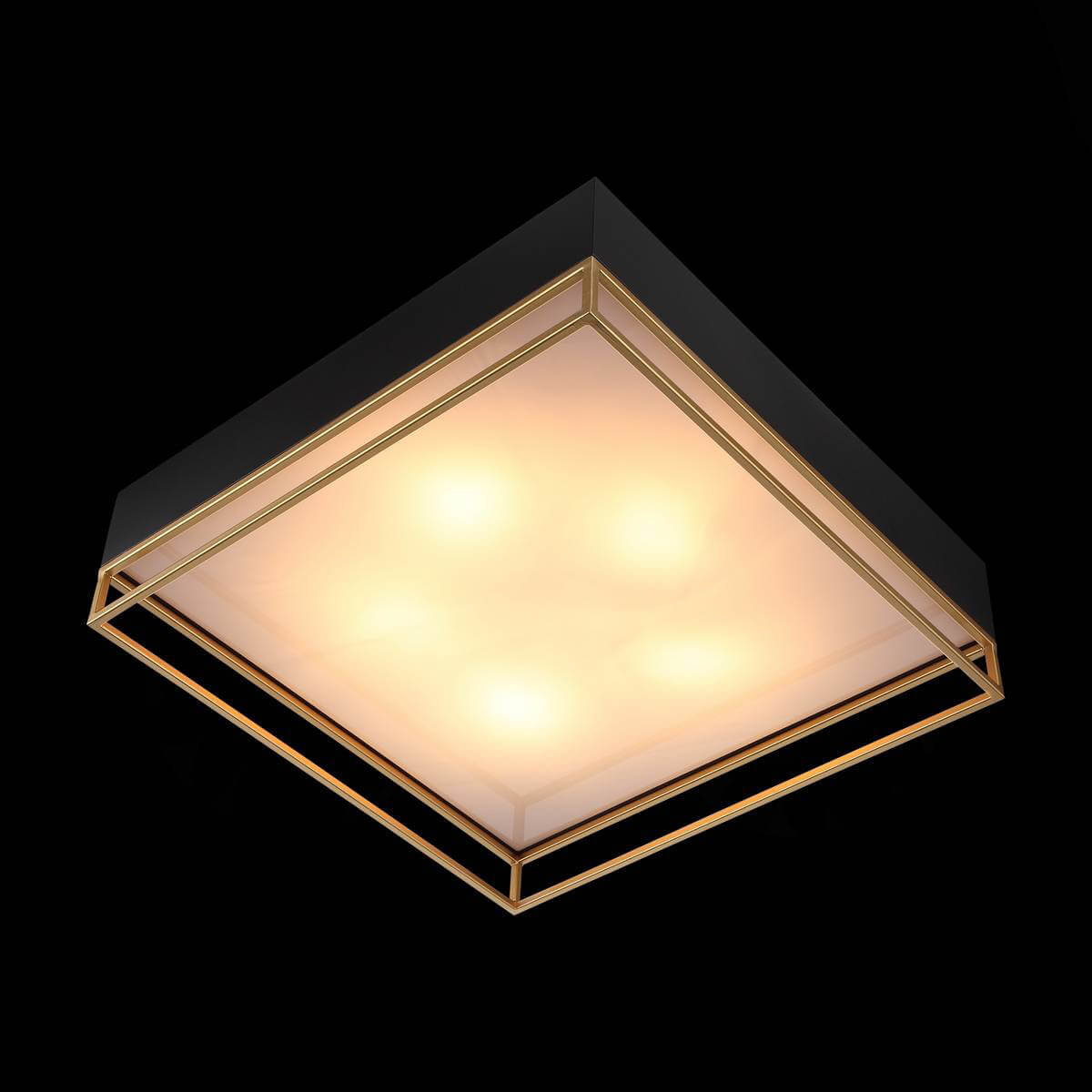 Потолочный люстра ST Luce Chodo SL1127.422.05