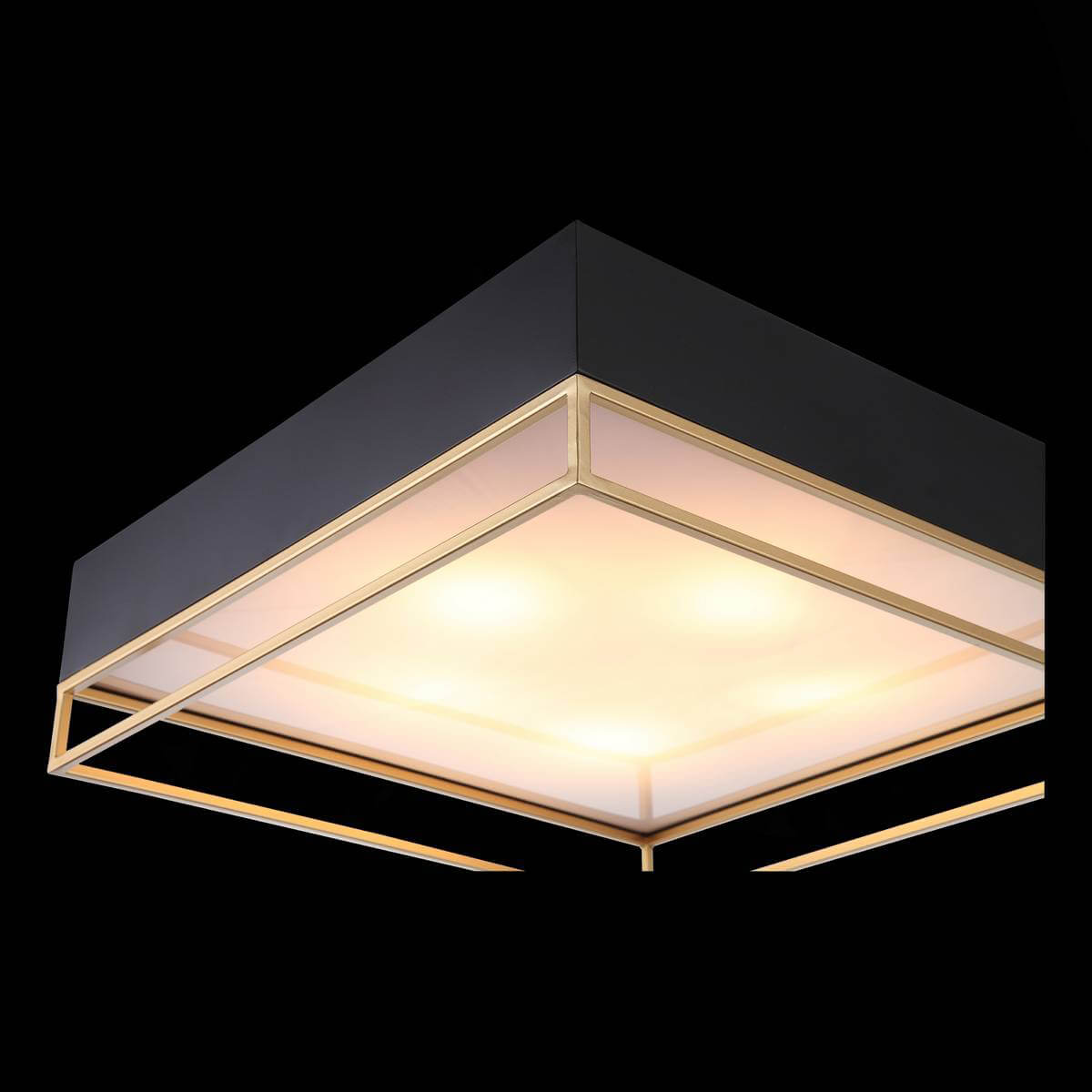 Потолочный люстра ST Luce Chodo SL1127.422.05