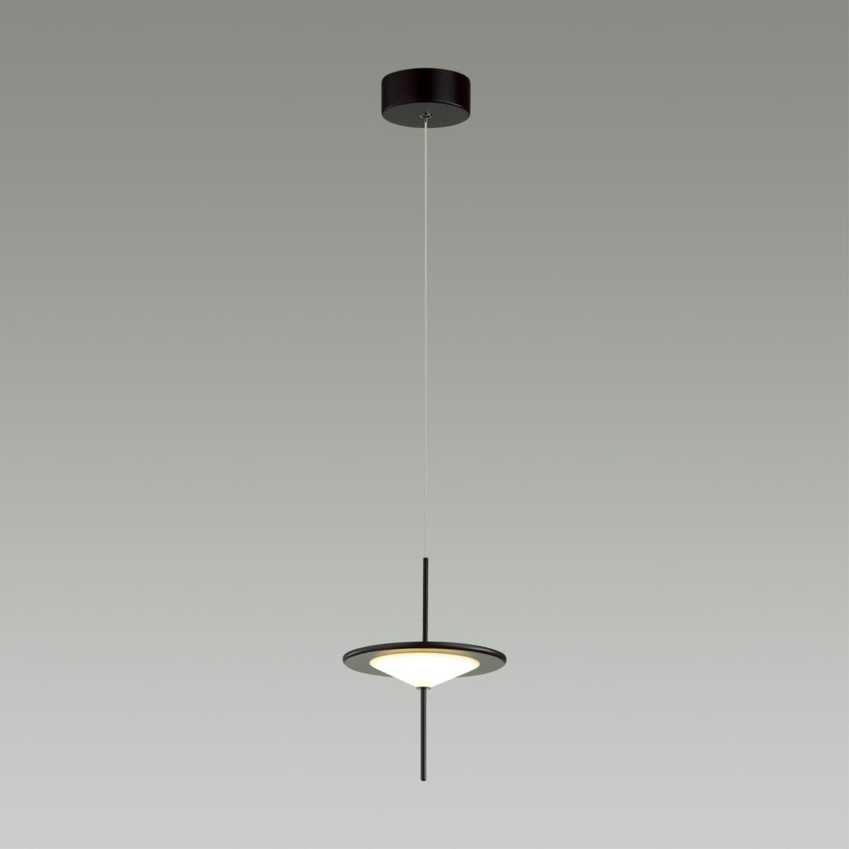 Подвесной светильник Odeon Light Steka 5012/10L