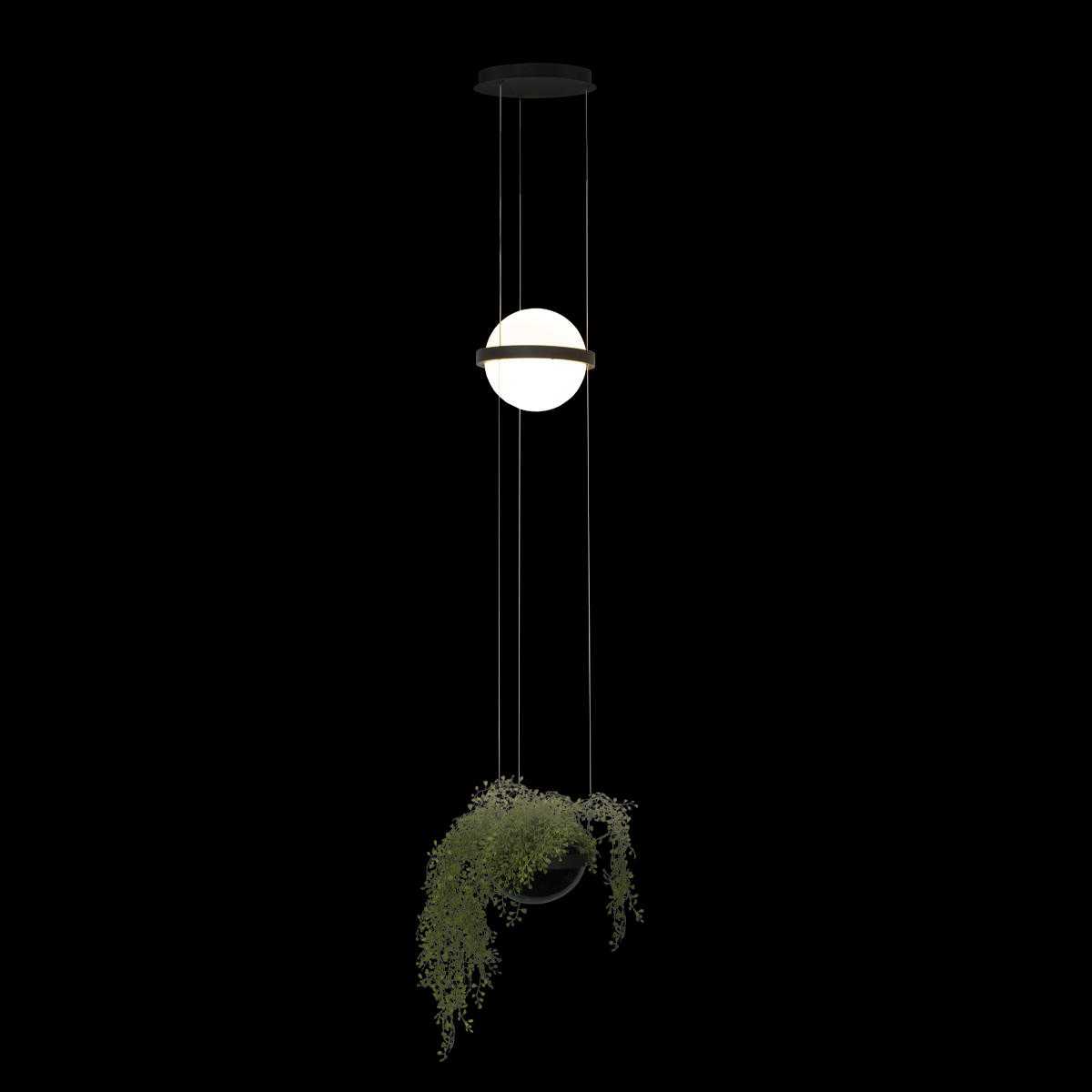 Подвесной светильник Loft IT Jardin 10121/B