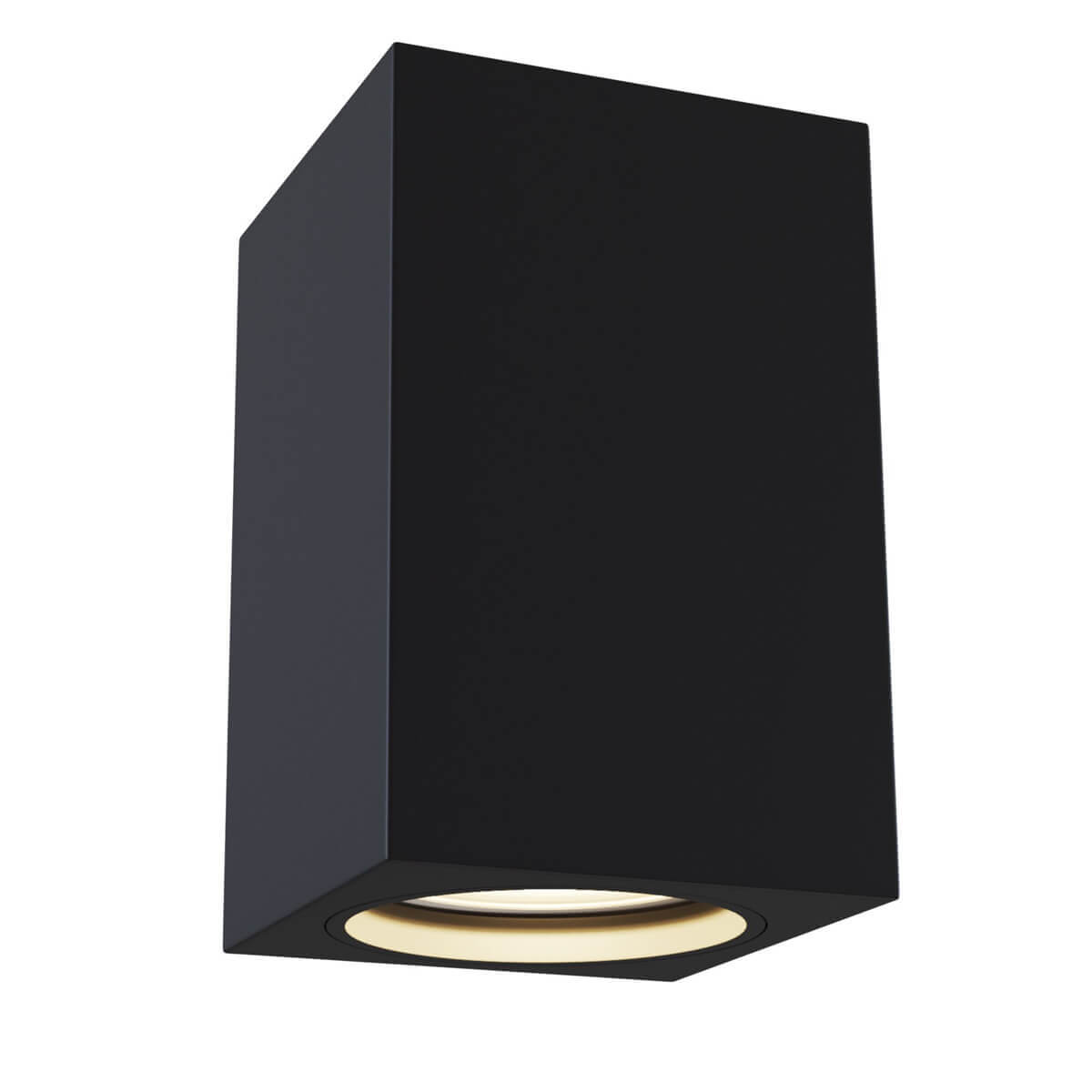 Накладной светильник Maytoni Focus C011CL-01B