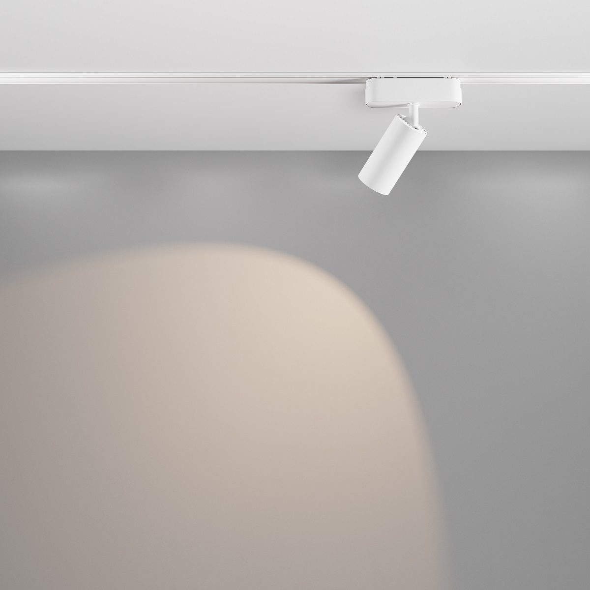 Трековый светильник Maytoni Focus Led Radity 4000K 12Вт 36 LED TR103-1-12W4K-M-W