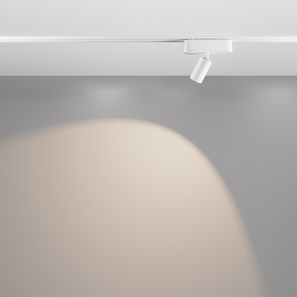 Трековый светильник Maytoni Focus Led Radity 4000K 5Вт 36 TR103-1-5W4K-M-W