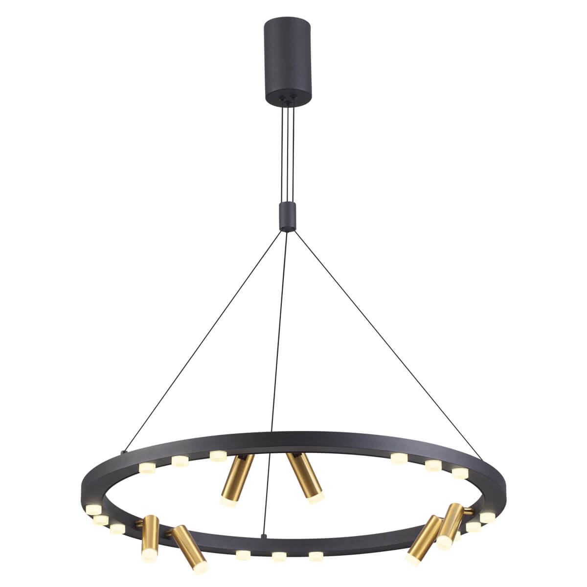 Подвесная светодиодная люстра Odeon Light Beveren 3918/63L