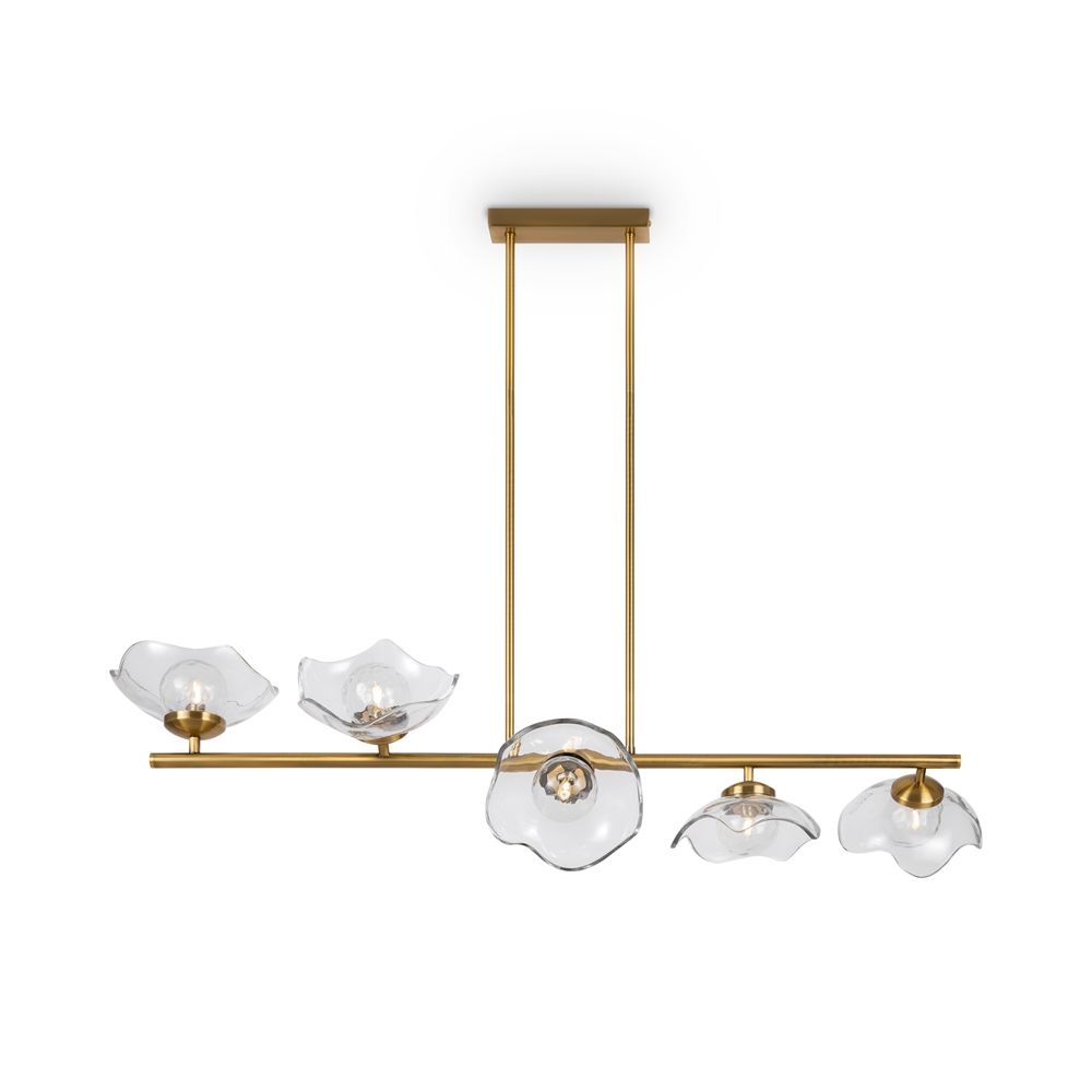 Подвесная люстра Maytoni Miracle MOD207PL-05BS