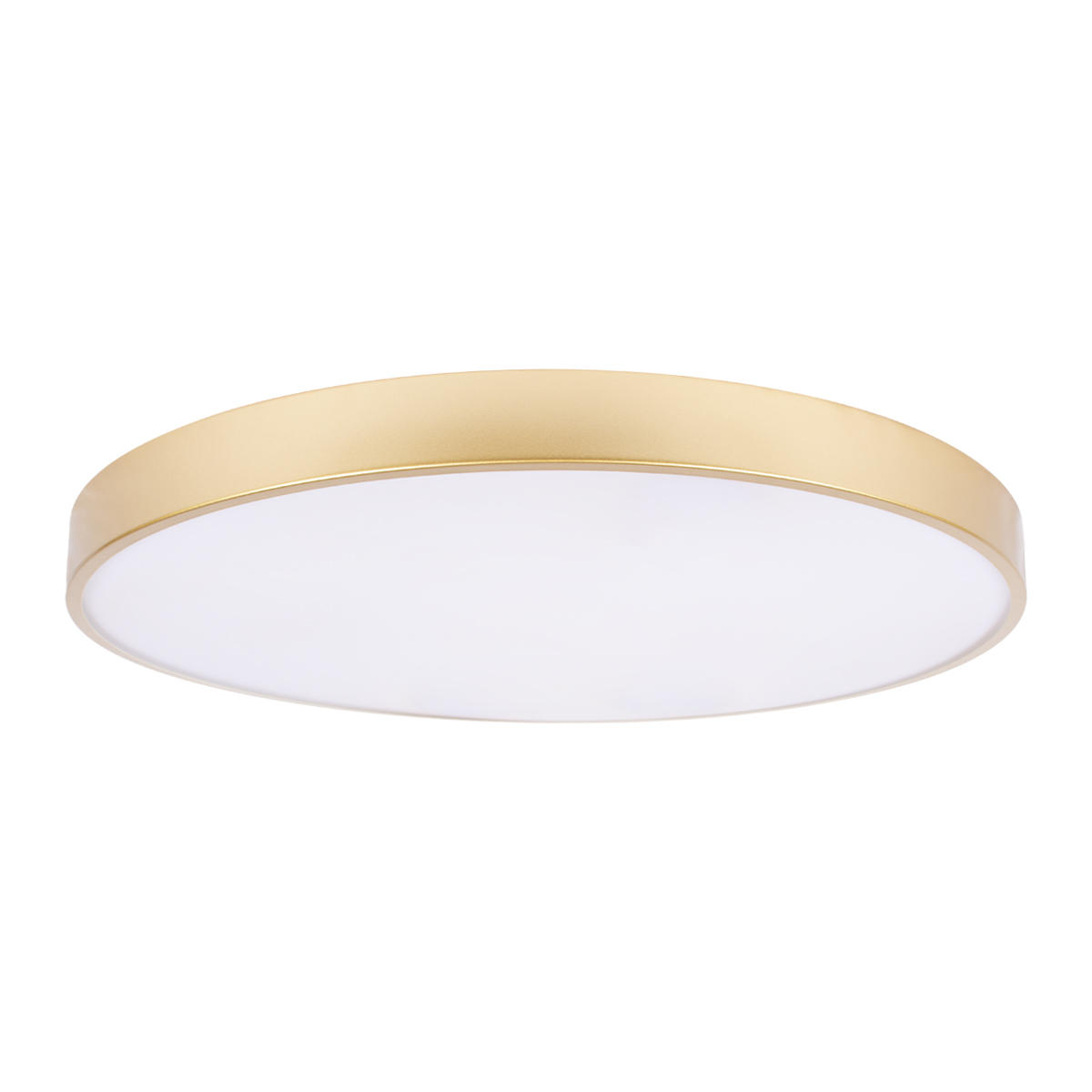 Потолочная светодиодная люстра Loft IT Flims 10228/B