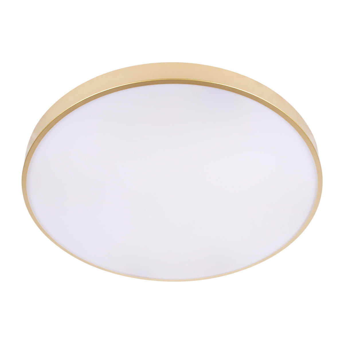 Потолочная светодиодная люстра Loft IT Flims 10228/B