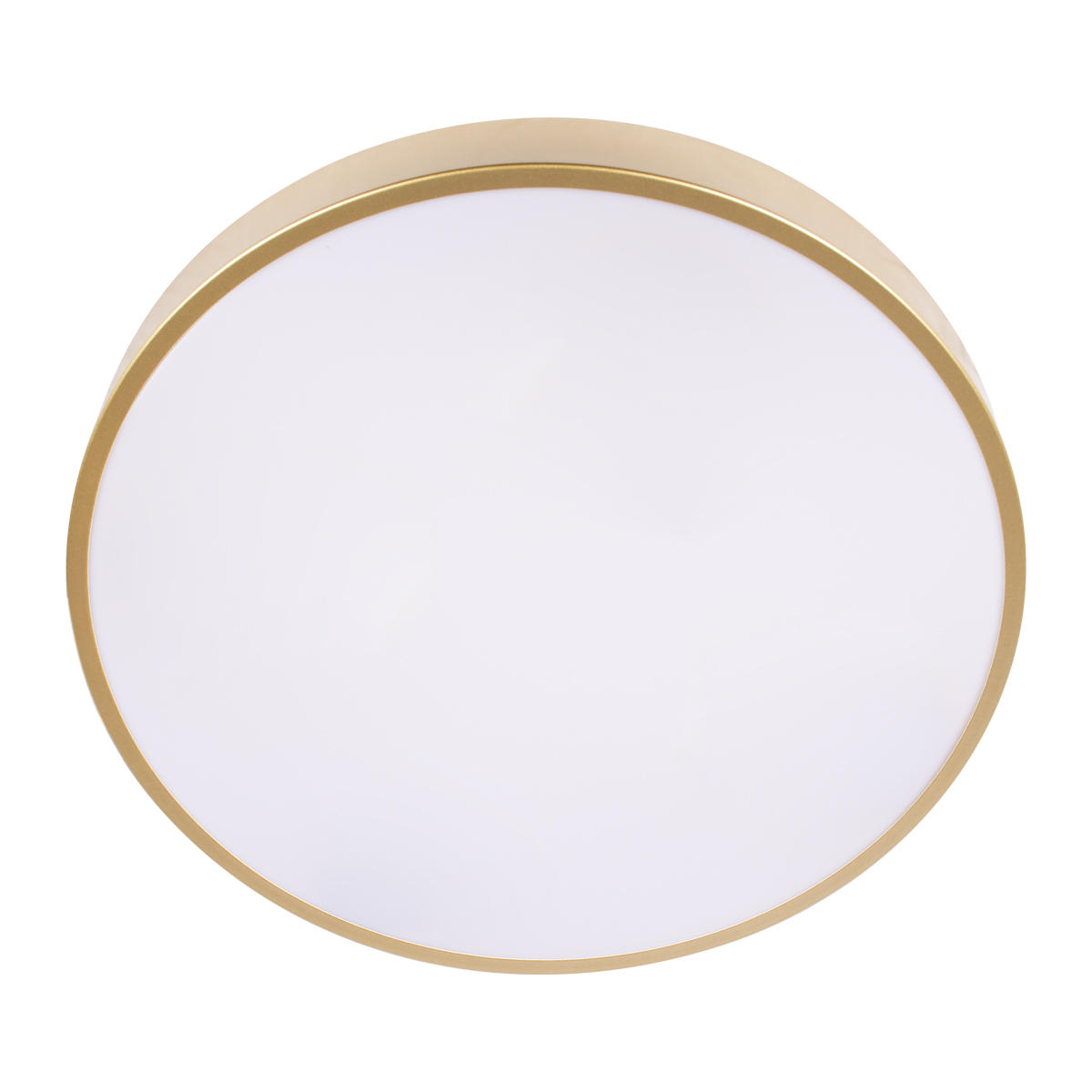 Потолочная светодиодная люстра Loft IT Flims 10228/A