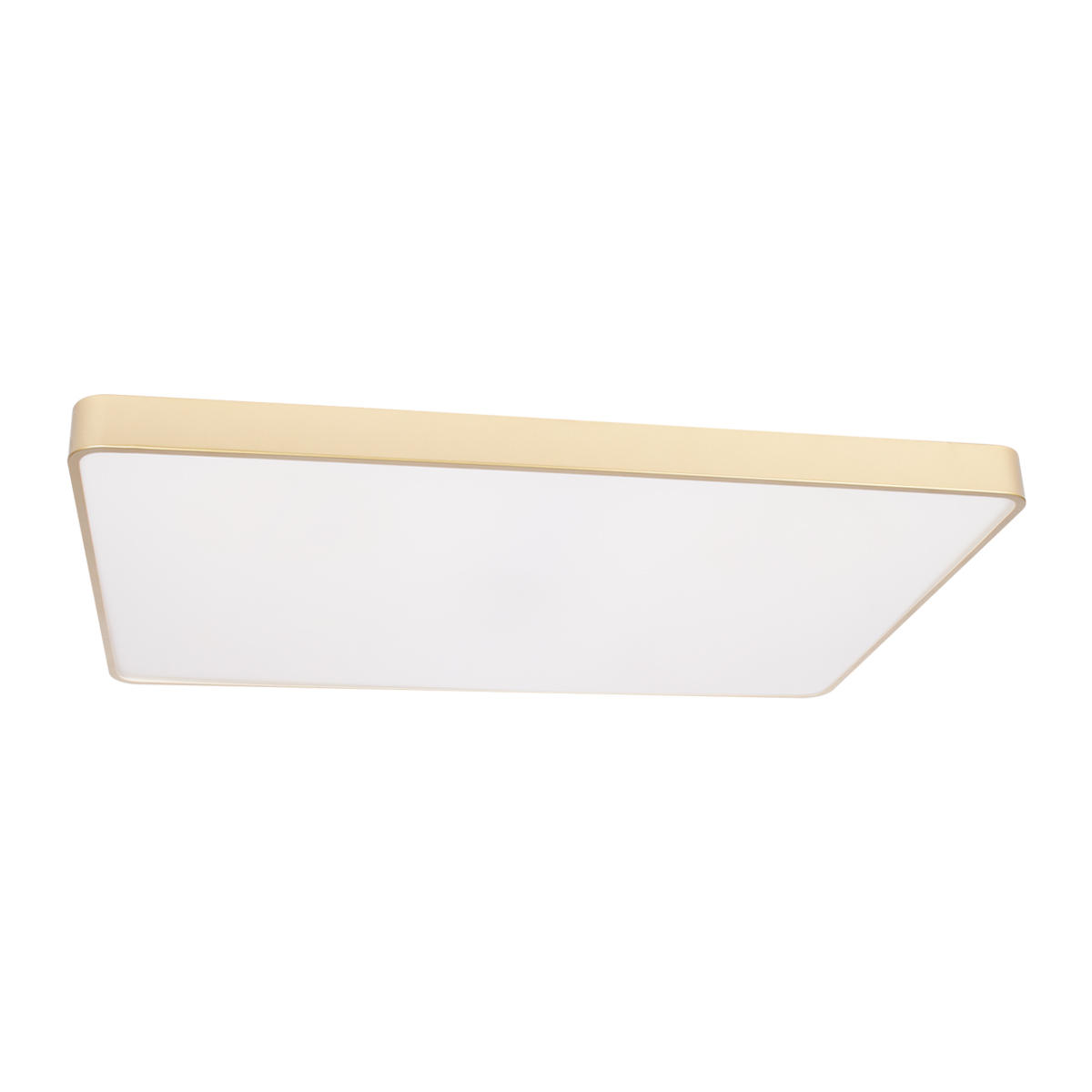 Потолочная светодиодная люстра Loft IT Flims 10228/E