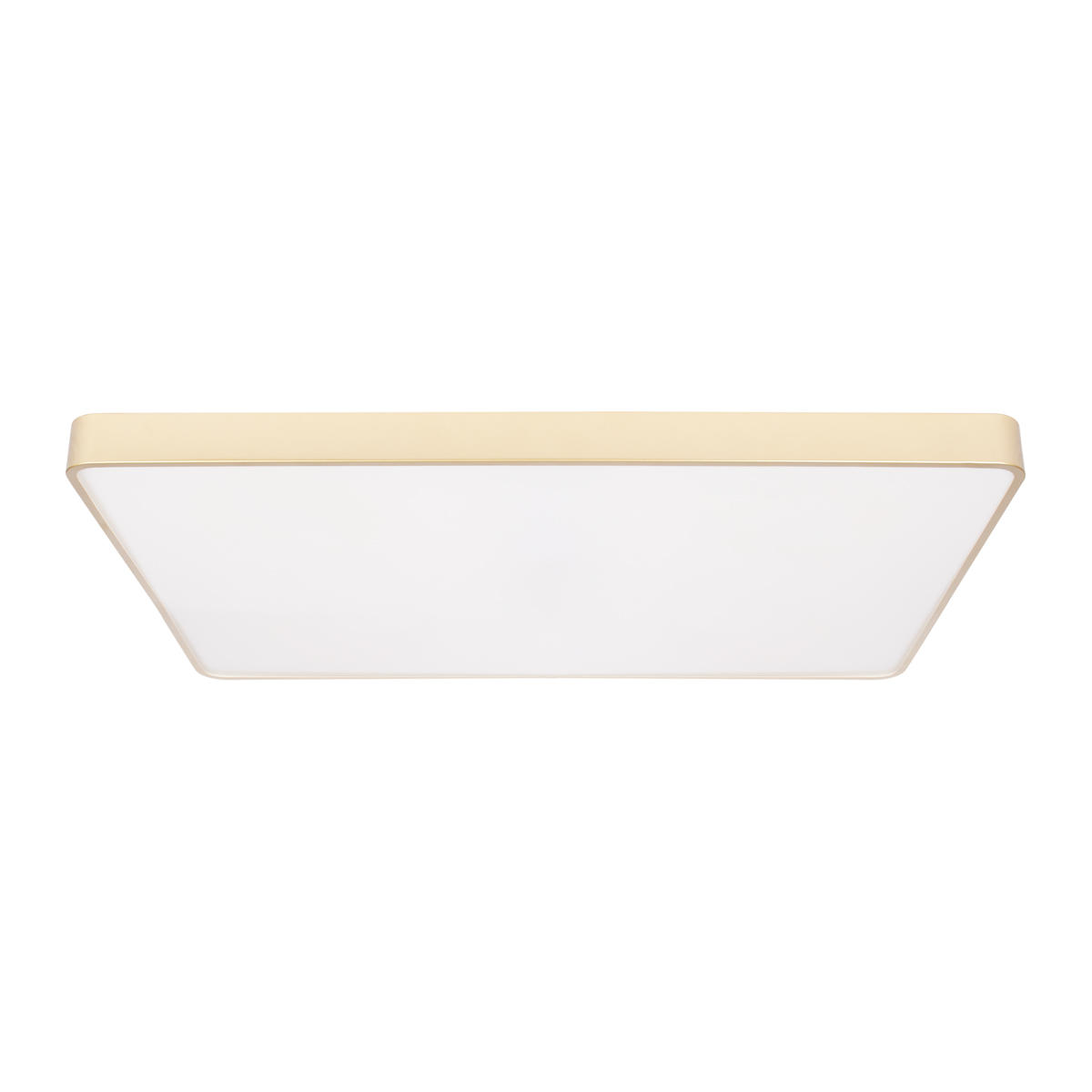 Потолочная светодиодная люстра Loft IT Flims 10228/E