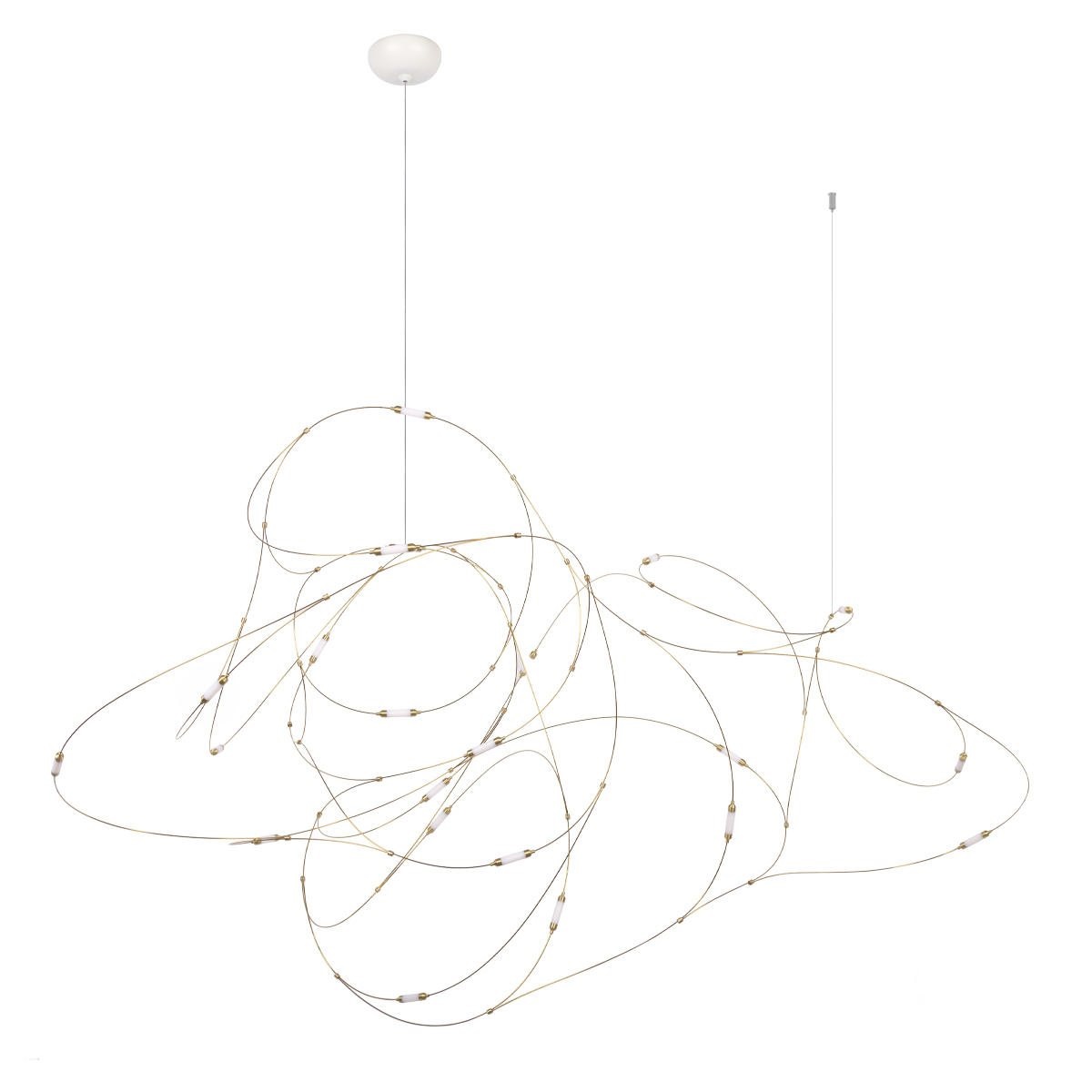 Подвесная светодиодная люстра Loft IT Flock of Light 10309/21