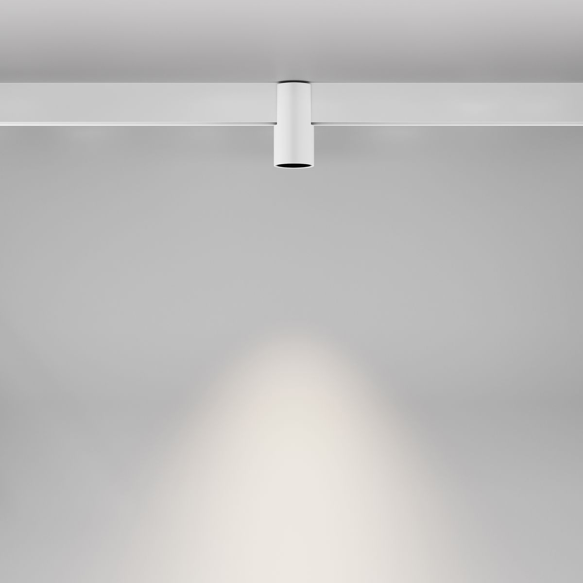 Трековый светильник Maytoni Exility Alfa 4000K 7Вт 50 TR122-2-7W4K-W