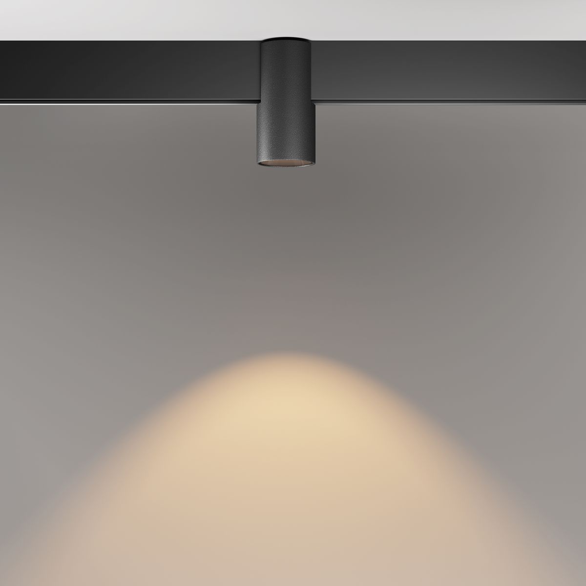 Трековый светильник Maytoni Exility Alfa 3000K 7Вт 50 TR122-2-7W3K-B