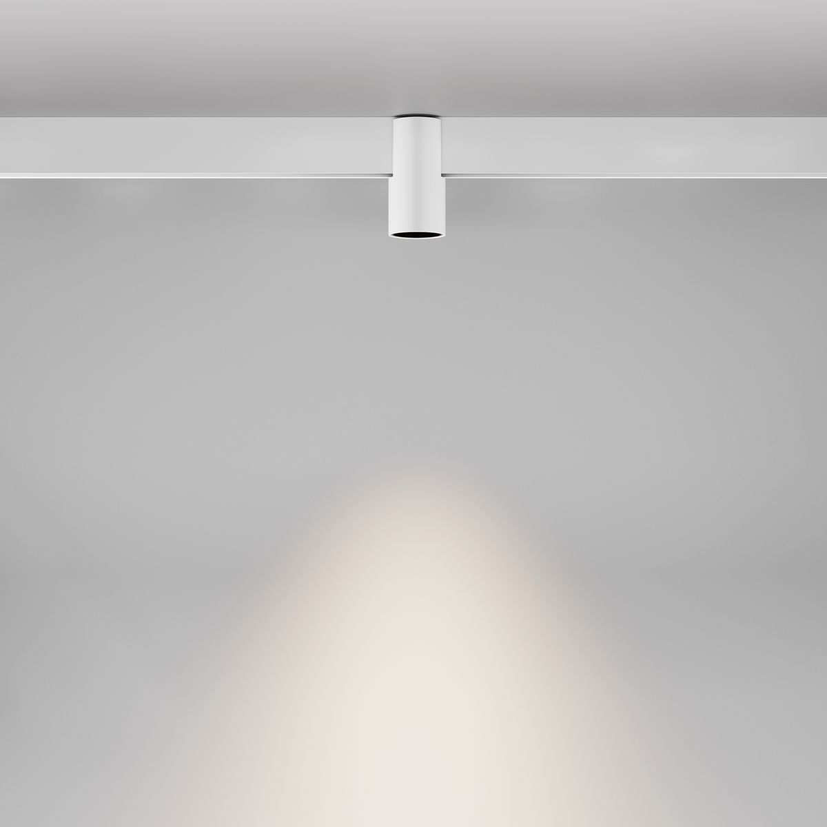 Трековый светильник Maytoni Exility Alfa 2700-6000K 7Вт 50 Dim Smart TR122-4-7W-DS-W