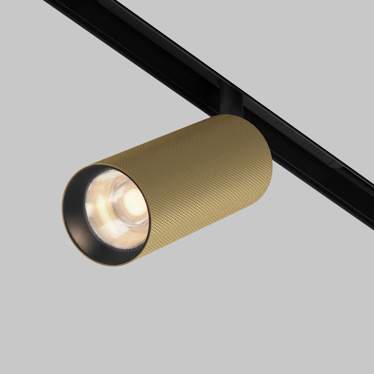 Трековый светильник Maytoni Exility Artisan 3000K 12Вт 36 TR097-2-12W3K-M-BMG