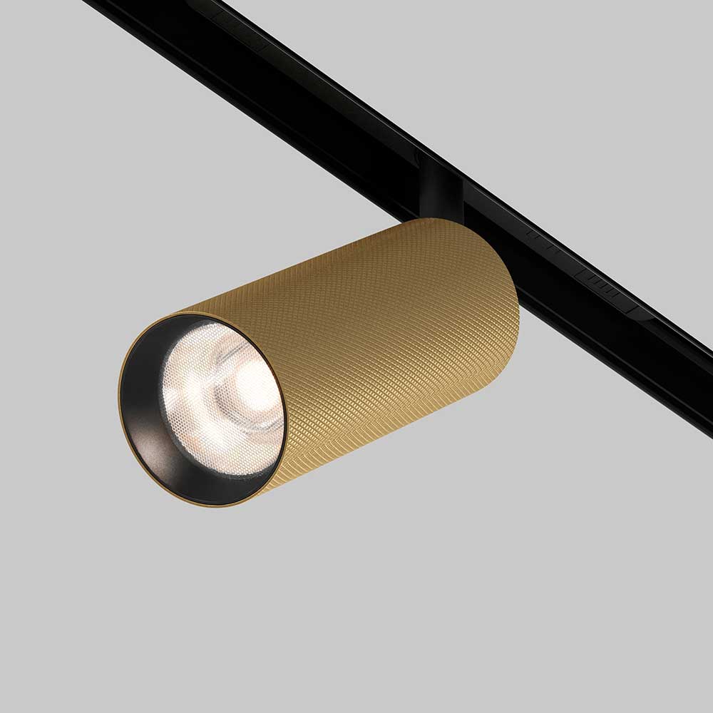 Трековый светильник Maytoni Exility Artisan 4000K 12Вт 36 TR097-2-12W4K-M-BMG