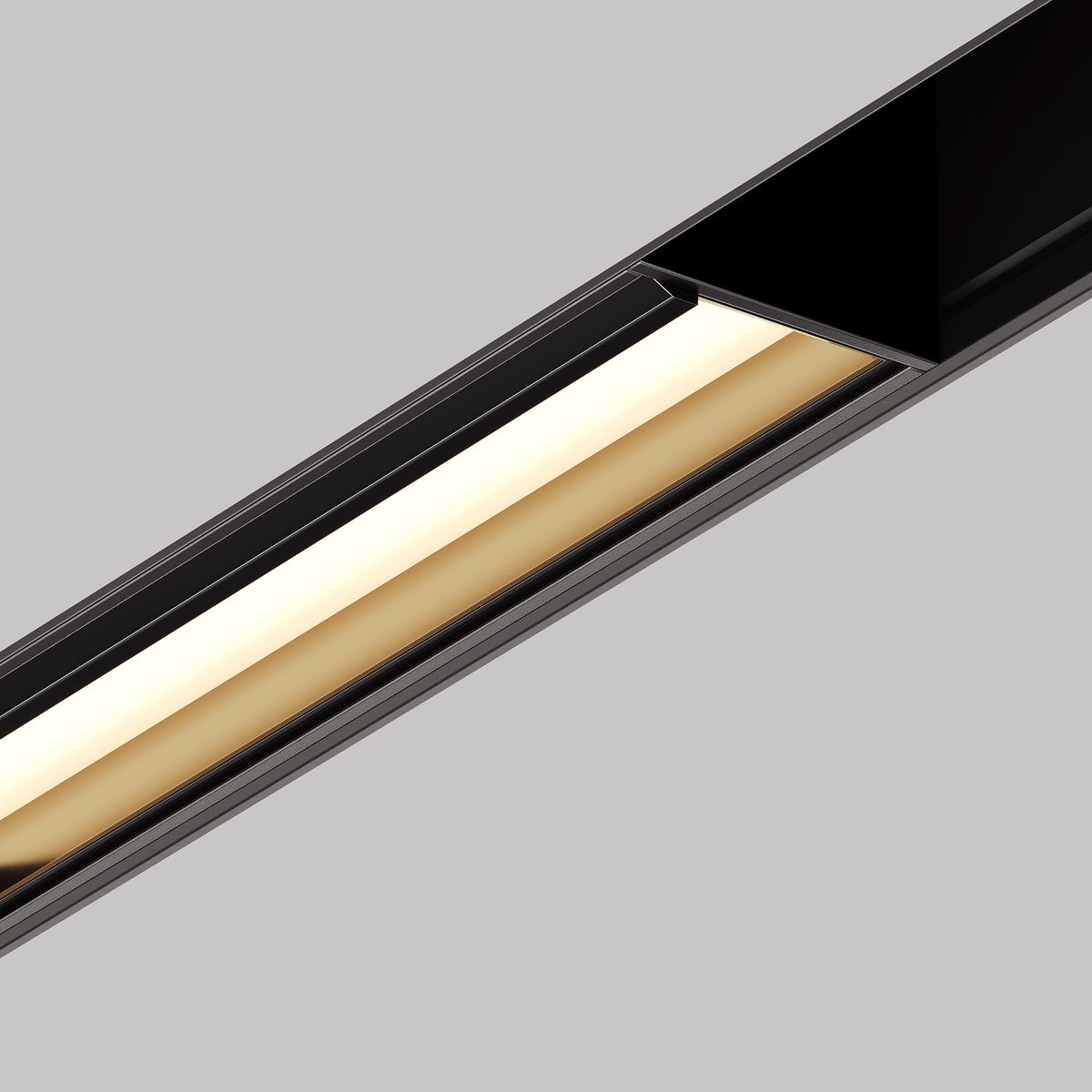 Трековый светильник Maytoni Exility Parete TR106-2-12W3K-B
