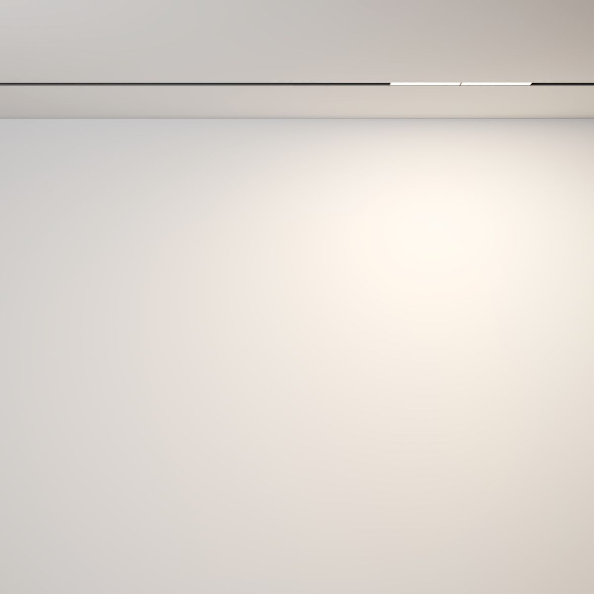 Трековый светильник Maytoni Exility Parete TR106-2-12W3K-B