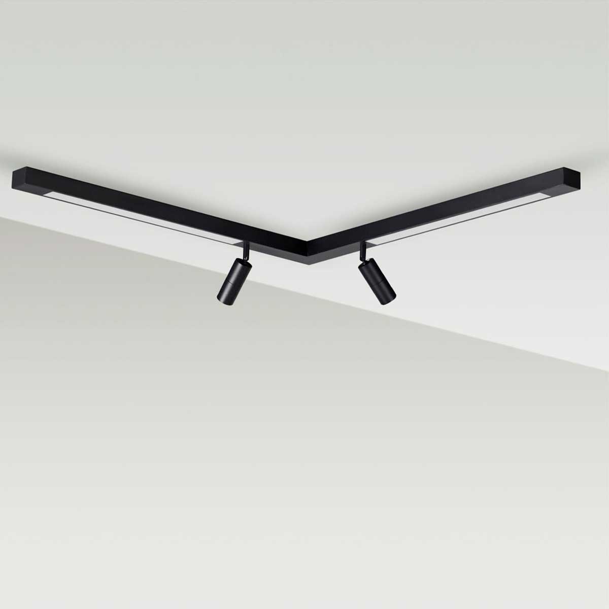 Потолочный светильник Lumion Hawk 5690/19CL