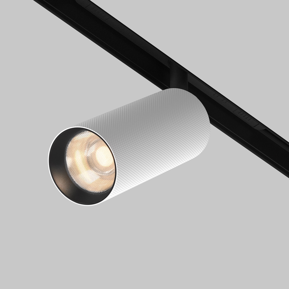 Трековый светильник Maytoni Exility Artisan 3000K 12Вт 36 TR097-2-12W3K-M-BW