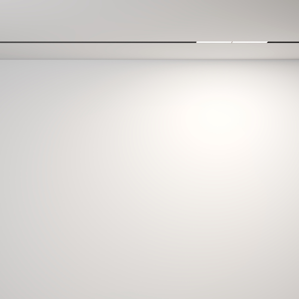 Трековый светильник Maytoni Exility Parete 4000K 12Вт 120 TR106-2-12W4K-B