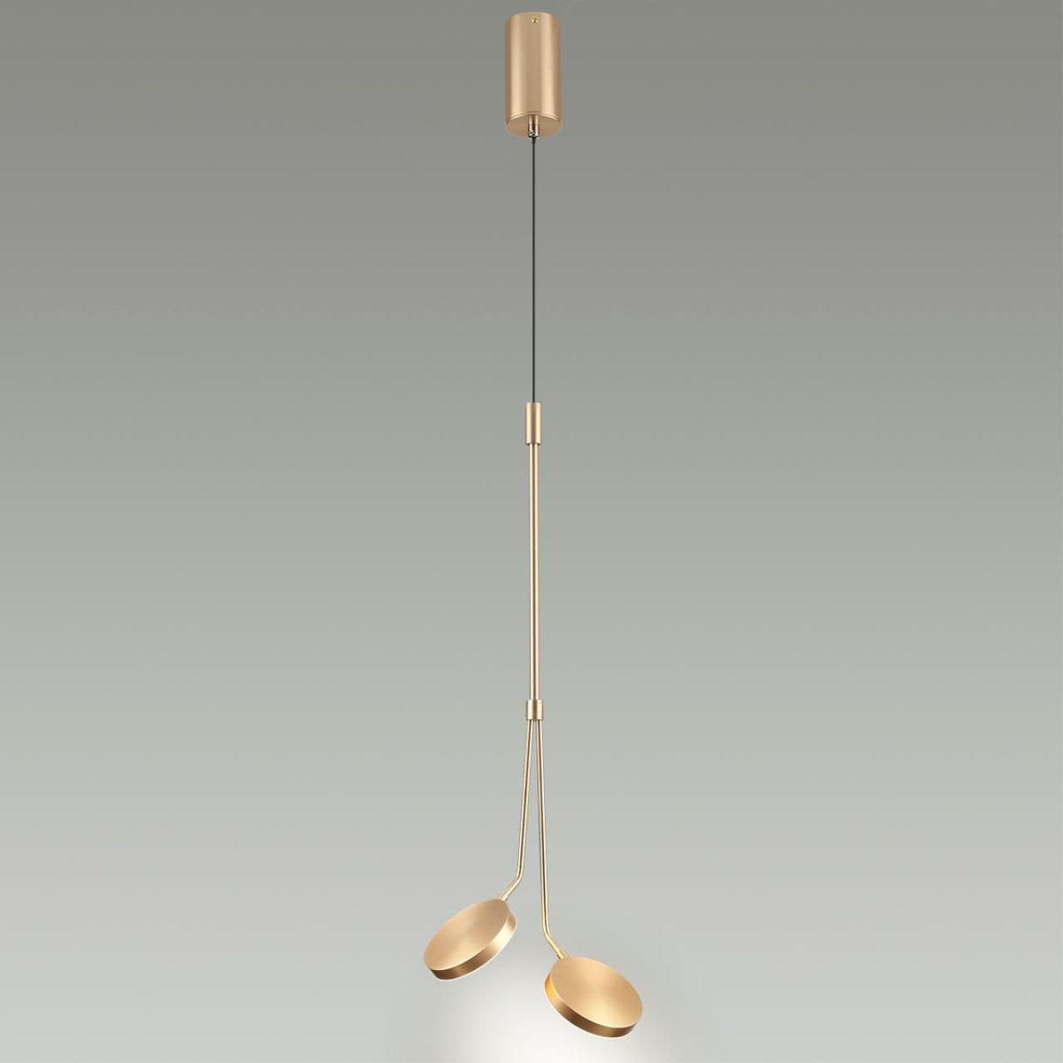 Подвесной светильник Odeon Light Maro 5011/16L