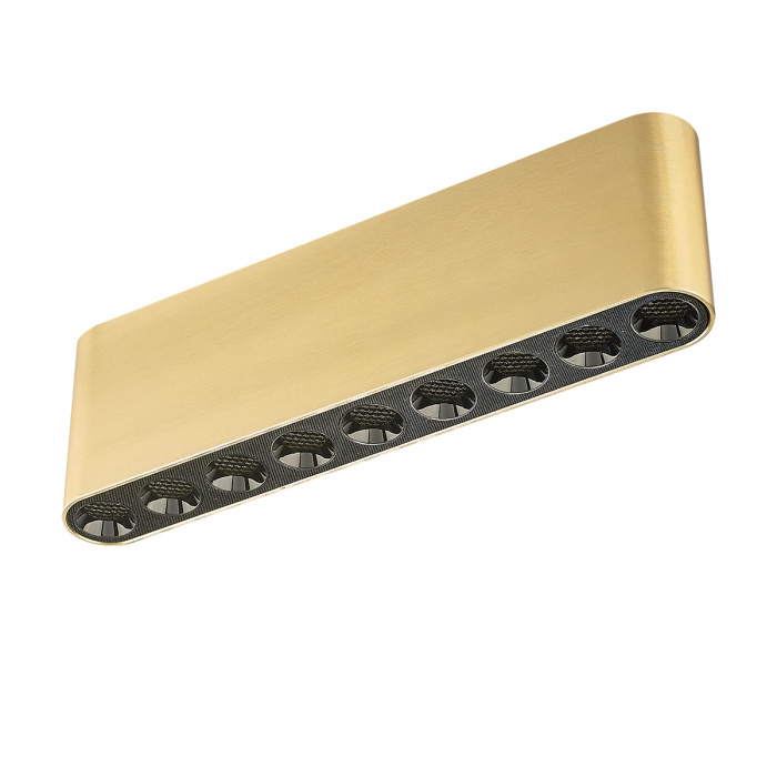 Потолочный светодиодный светильник Odeon Light Small 7093/21CL