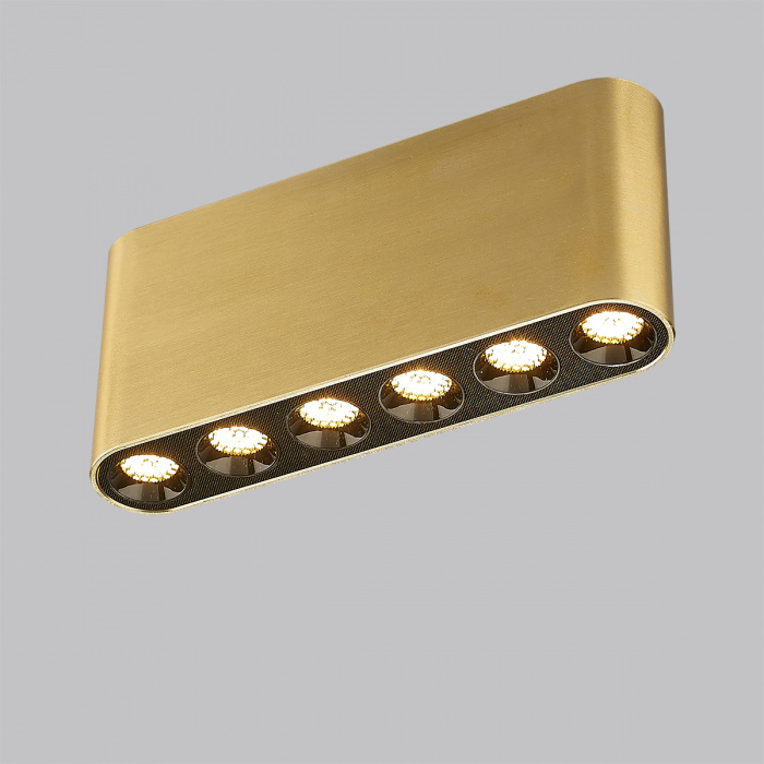 Потолочный светодиодный светильник Odeon Light Small 7093/15CL