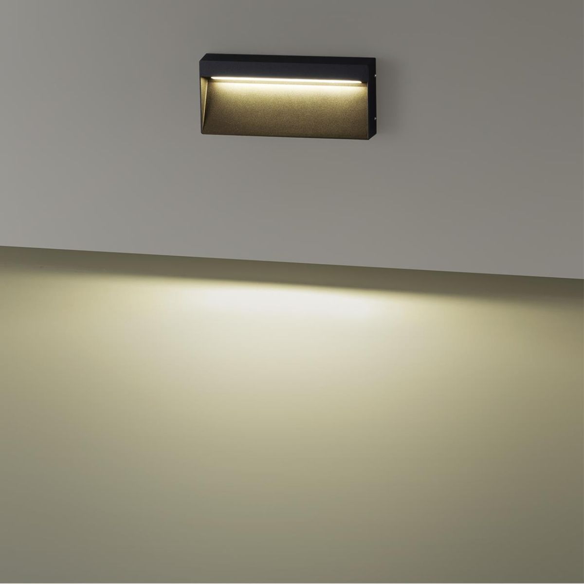 Уличный настенный светодиодный светильник Odeon Light Vitty 6649/5WL3