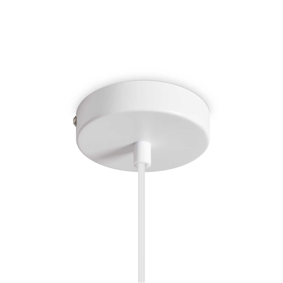 Подвесной светильник Freya Shapes FR5530PL-01W