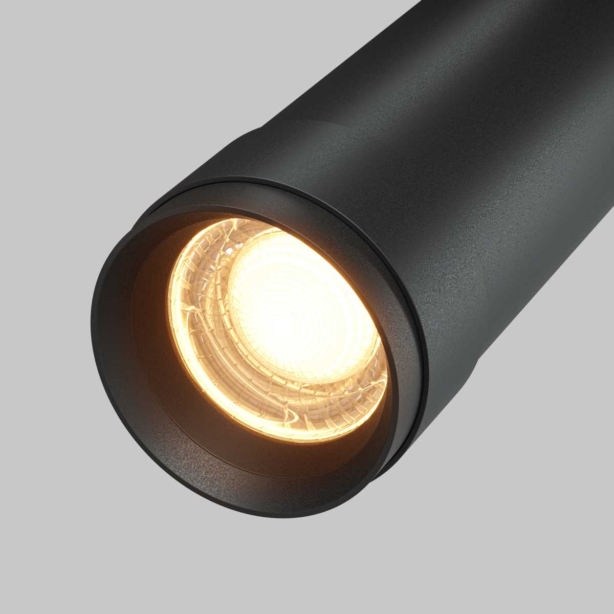 Потолочный светильник Maytoni Focus Zoom C055CL-L12W2.7K-Z-B