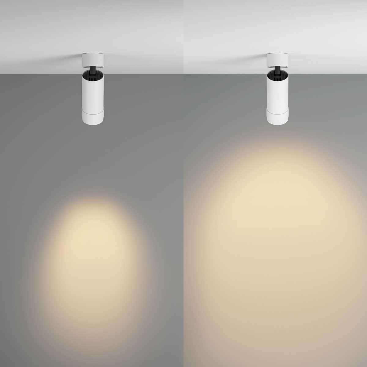 Потолочный светильник Maytoni Focus Zoom C055CL-L12W2.7K-Z-W
