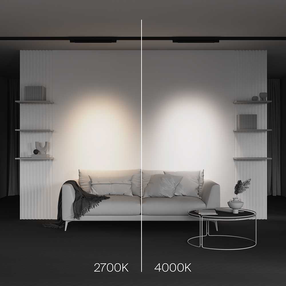 Трековый светодиодный светильник Maytoni Points TR195-3-20W2.7K-M-B