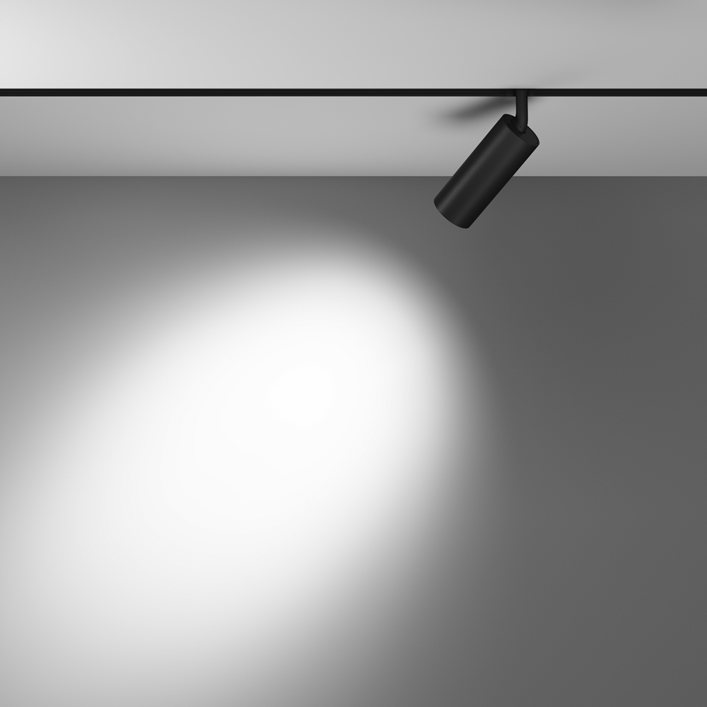 Трековый светильник Maytoni Focus LED TR032-4-12WTW-M-DD2-B