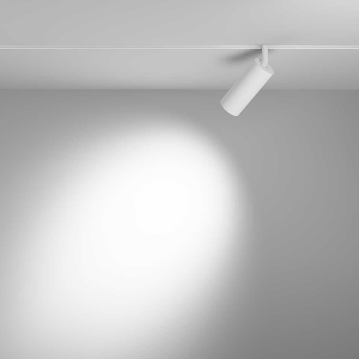 Трековый светильник Maytoni Focus LED TR032-4-12WTW-M-DD2-W