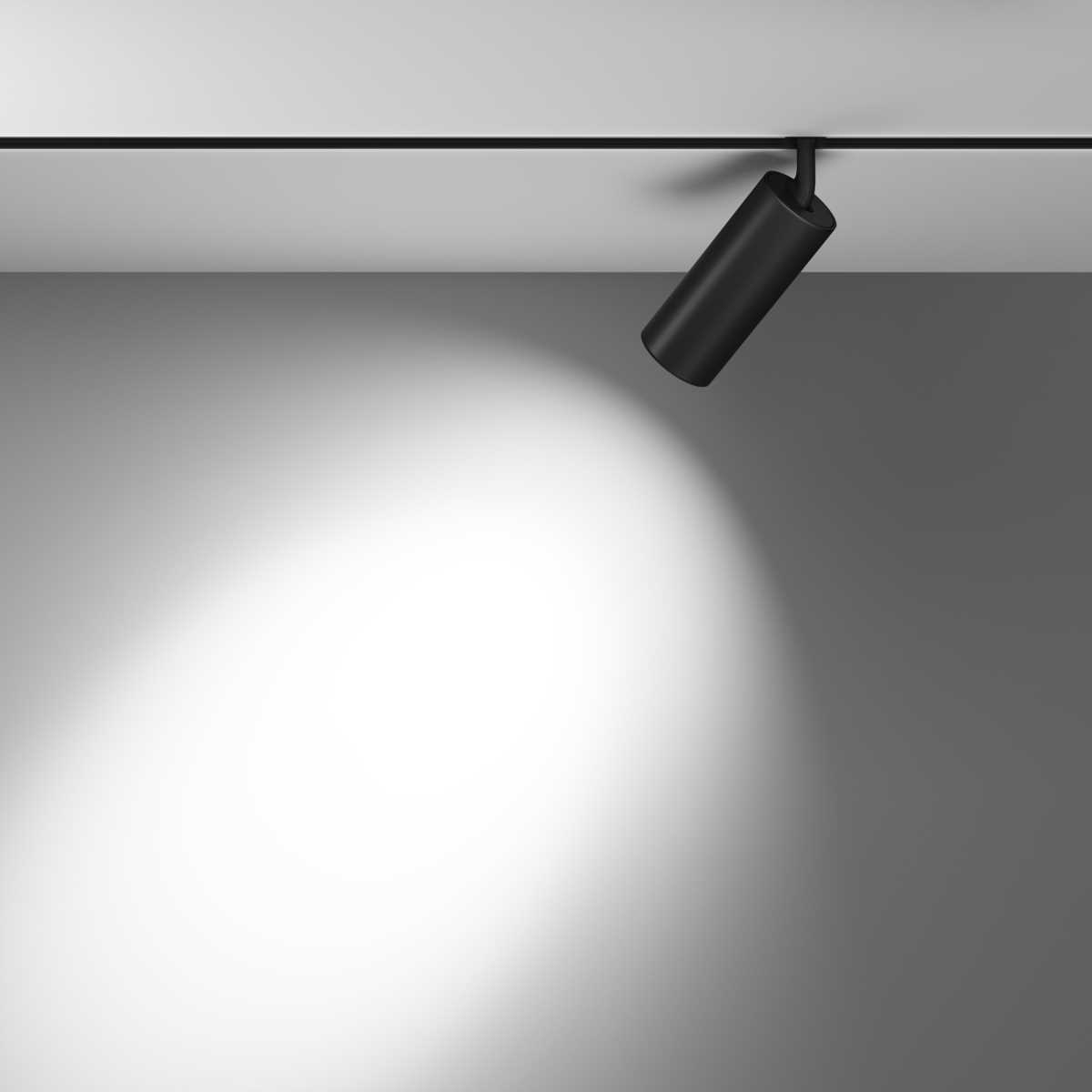 Трековый светильник Maytoni Focus LED TR032-4-20WTW-M-DD2-B
