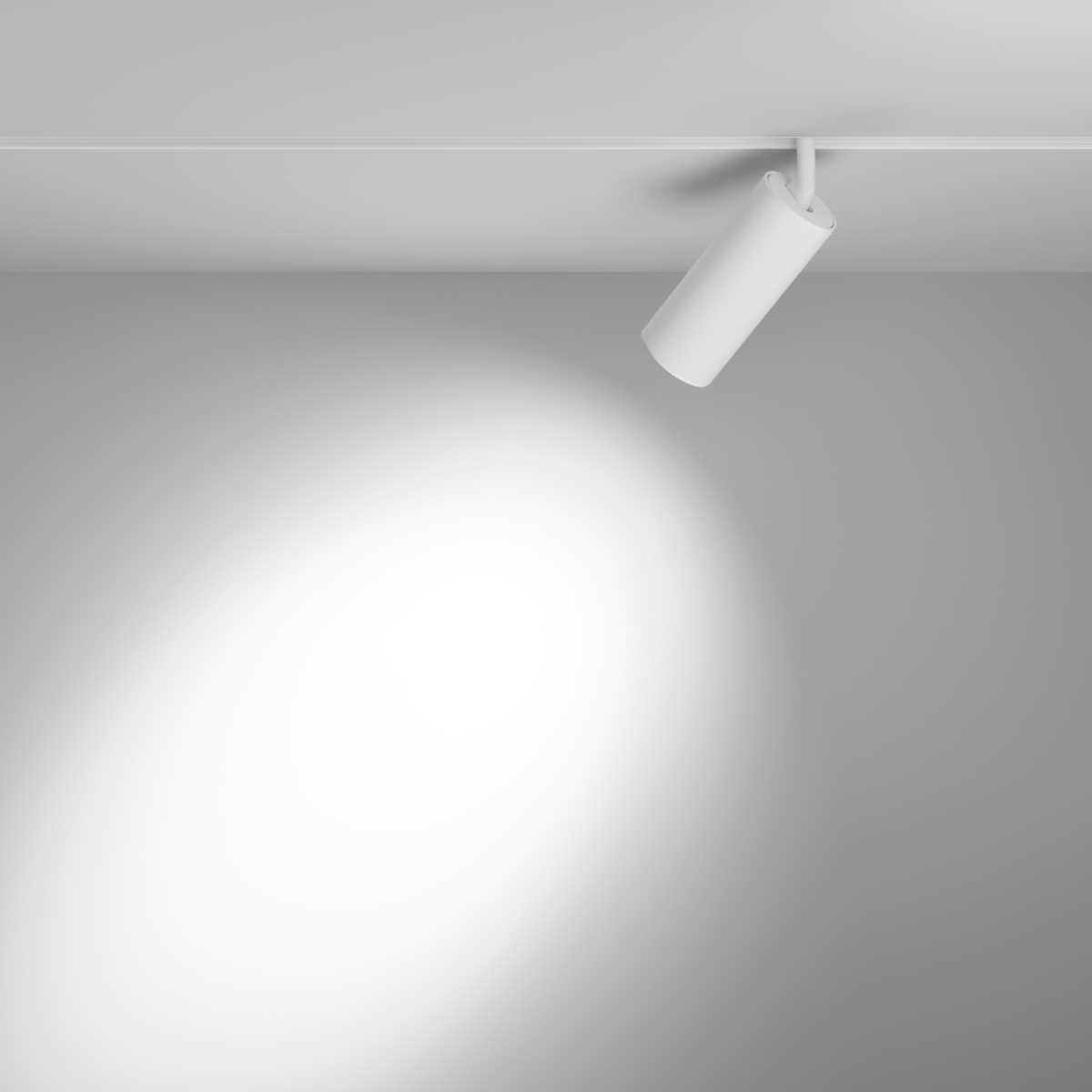 Трековый светильник Maytoni Focus LED TR032-4-20WTW-M-DD2-W
