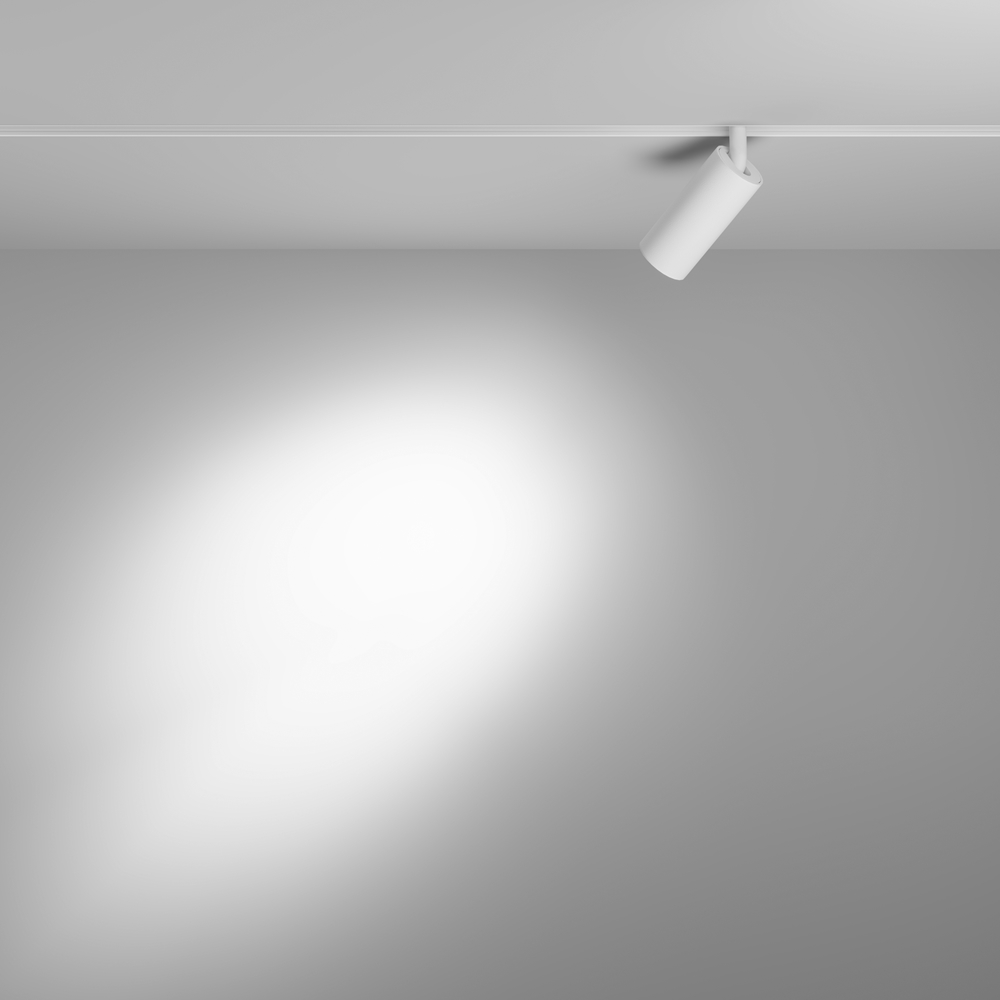 Трековый светильник Maytoni Focus LED TR032-4-5WTW-M-DSZ-W
