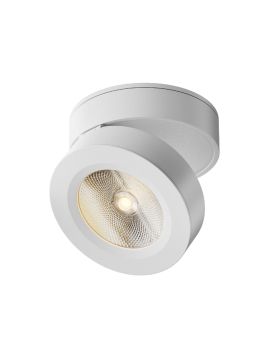 Спот Maytoni Alivar C022CL-L12W