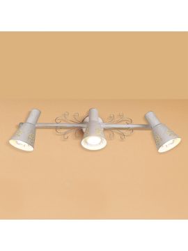 Спот Citilux Дункан CL529532